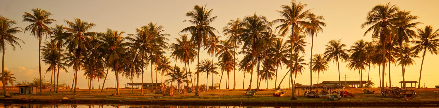 Kerala - Quick Kochi